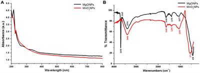 Bacteriophage-mediated biosynthesis of MnO2NPs and MgONPs and their role in the protection of plants from bacterial pathogens